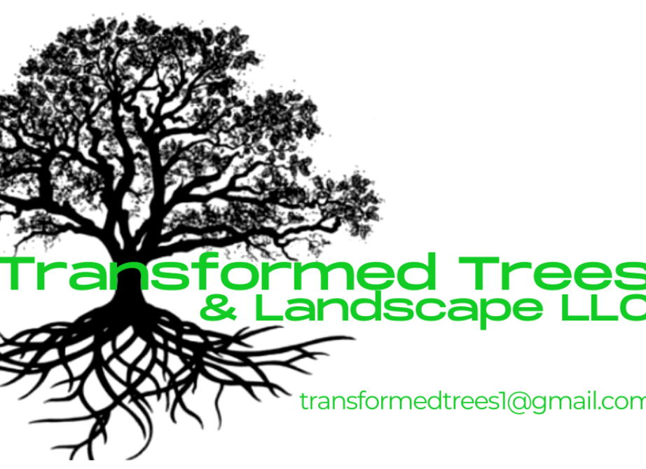 Transformed Trees & Landscaping